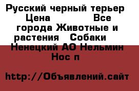 Русский черный терьер › Цена ­ 35 000 - Все города Животные и растения » Собаки   . Ненецкий АО,Нельмин Нос п.